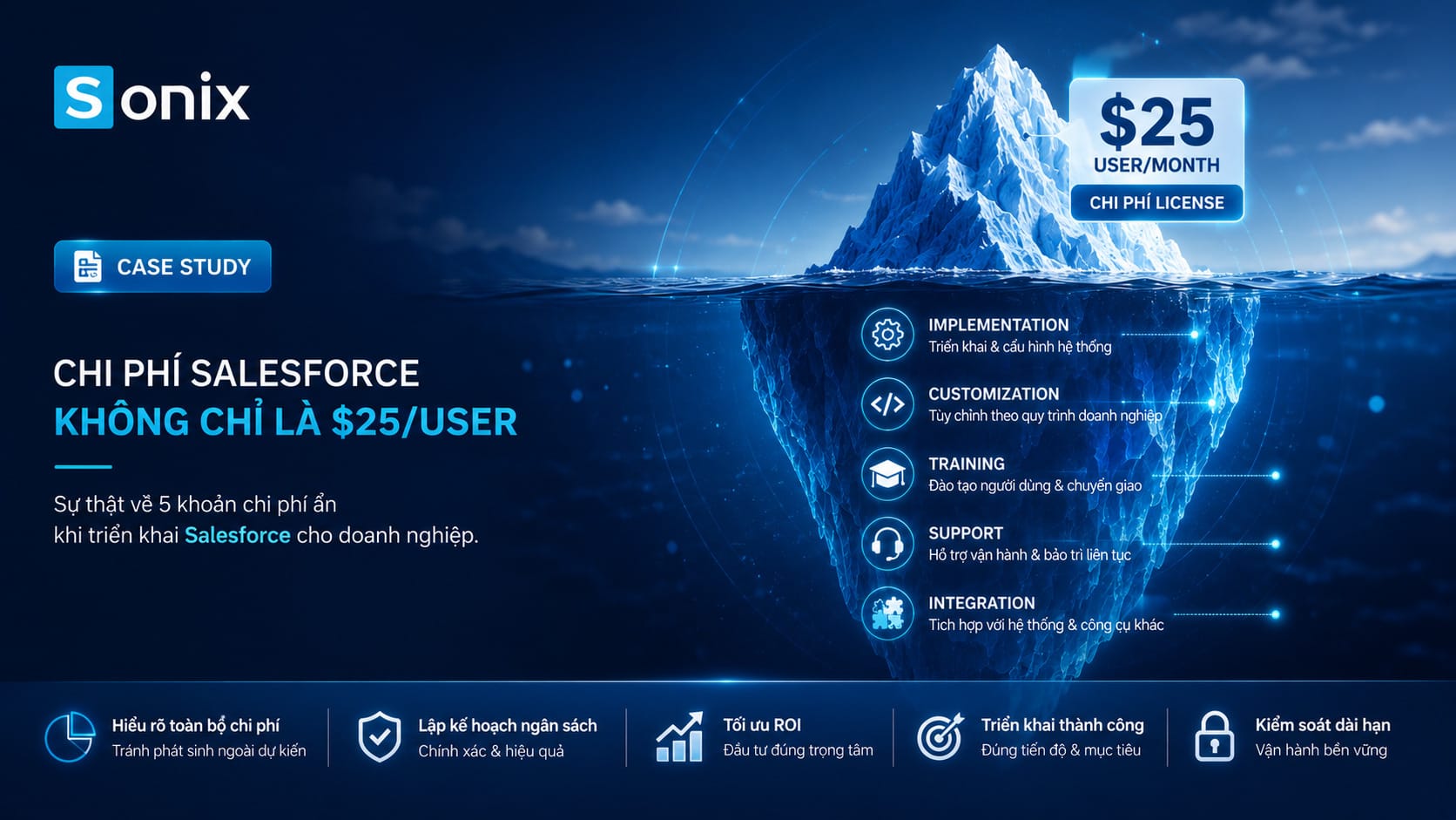 Biểu đồ phân tích tổng chi phí Salesforce Việt Nam thực tế cho doanh nghiệp SMB