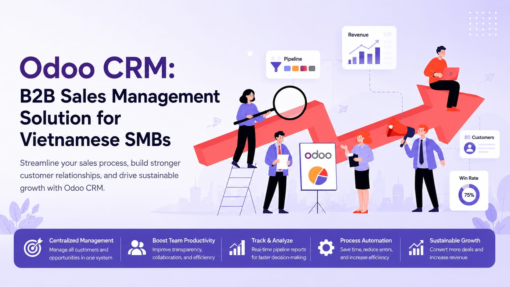 Odoo CRM B2B Sales Management Solution Vietnamese SMBs